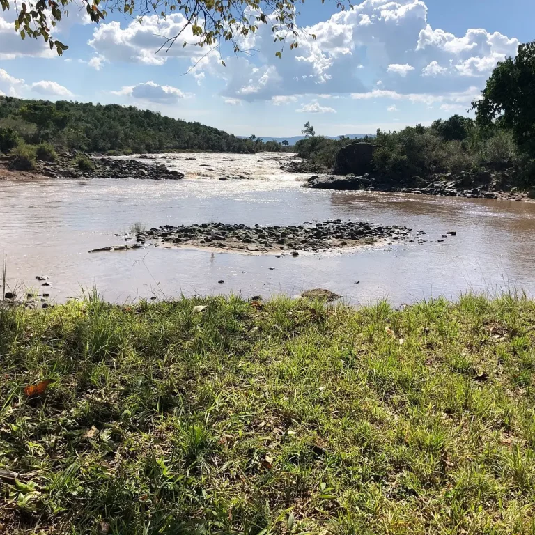 Experience True Safari Luxury with this 3-Day Masai Mara Classic Safari - Masai Mara safari in kenya wildebeest