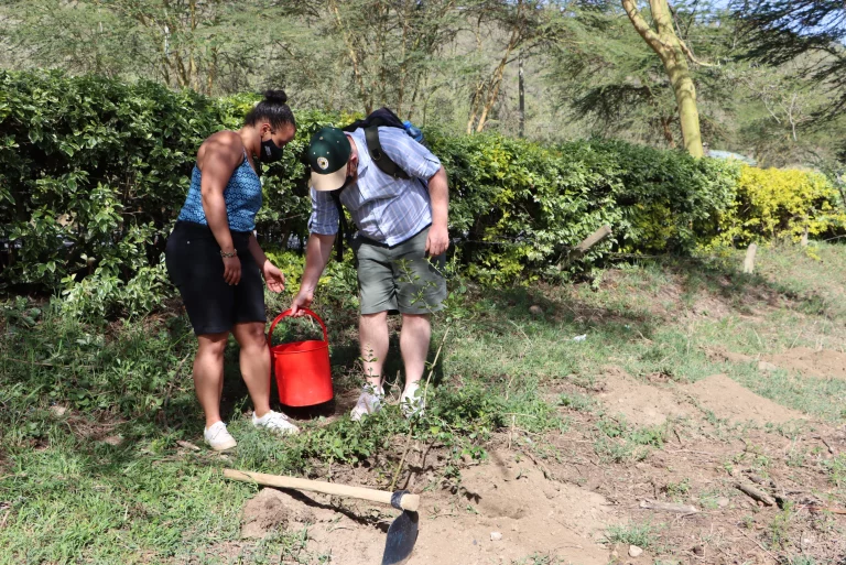 Just the Vacation You Need - 4 Days at Base Camp Masai Mara - masai mara kenya