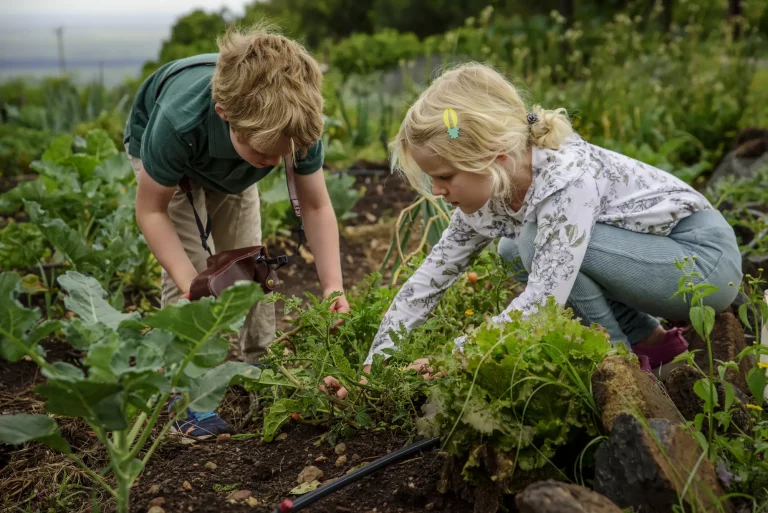 Masai mara kenya family safari holidays - 6 days Kenya safari tour - Kenya safaris