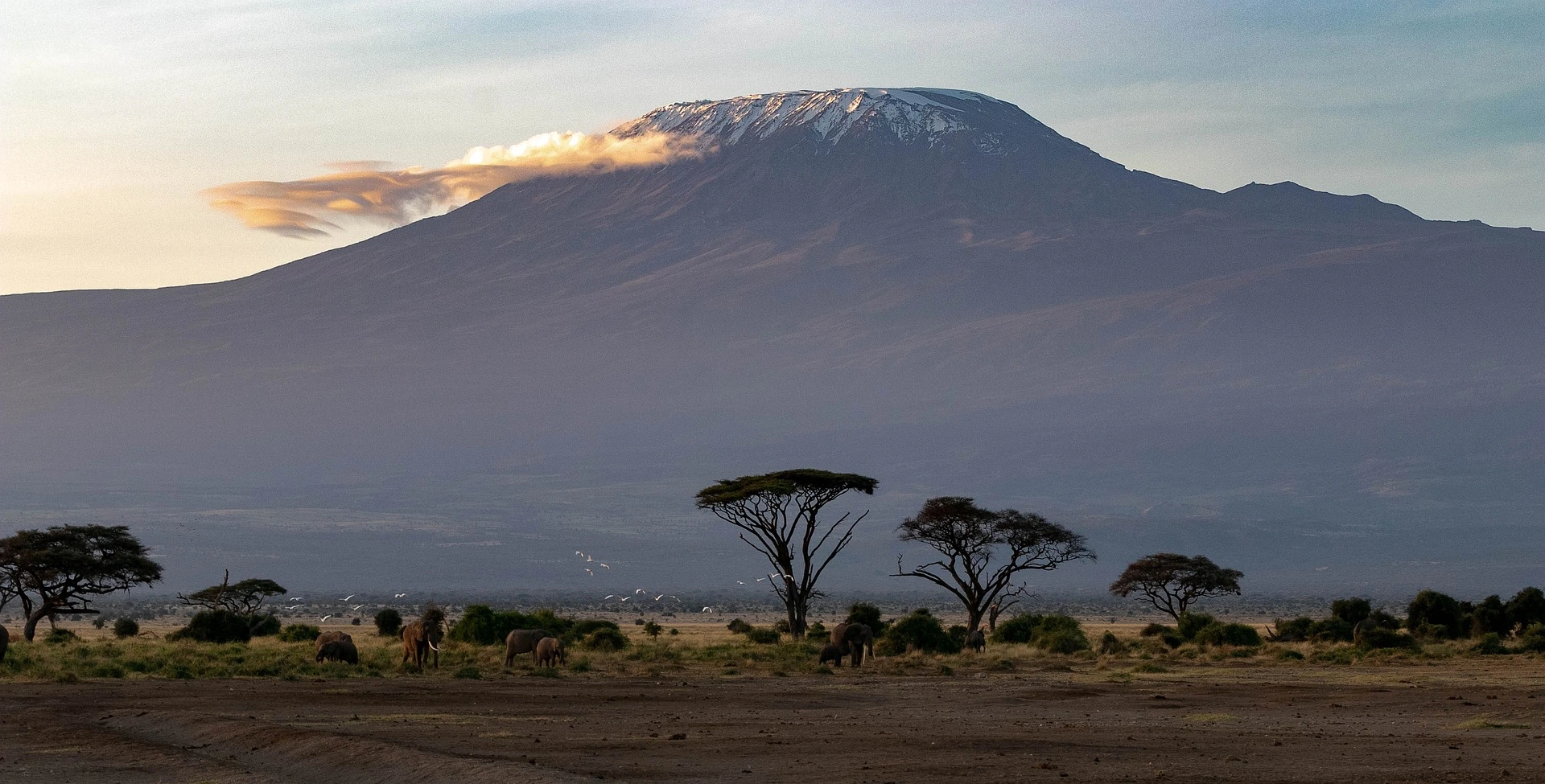 Kenya Safaris from Mombasa to Amboseli National Park - Best views of Mount Kilimanjaro