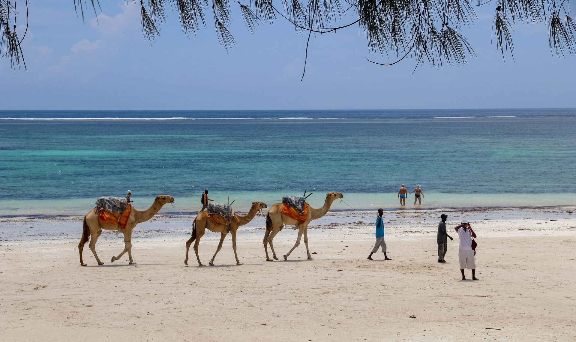 Mombasa beach and safari holiday - Diani beach Kenya