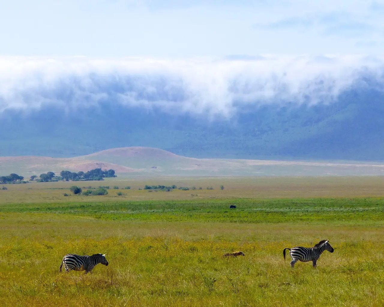 What to do on Tanzania luxury tours