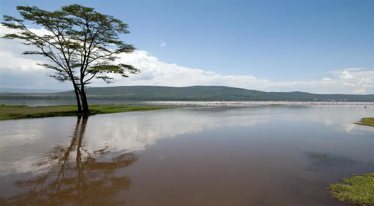 The alkaline Lake Nakuru Kenya- views the shallow Lake Nakuru