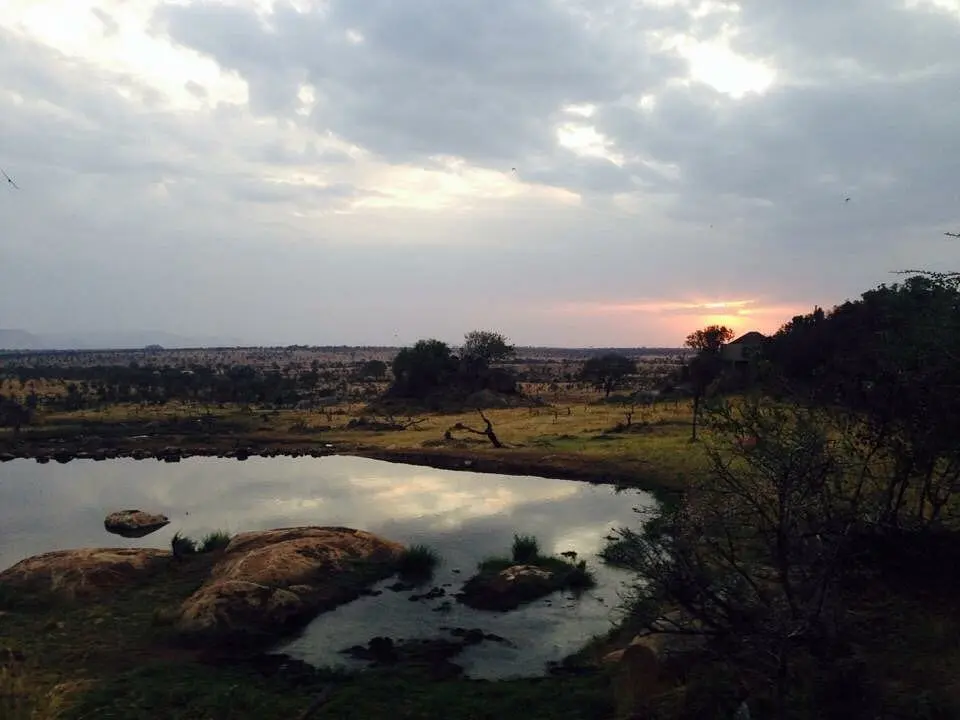 Serengeti National Park in Tanzania