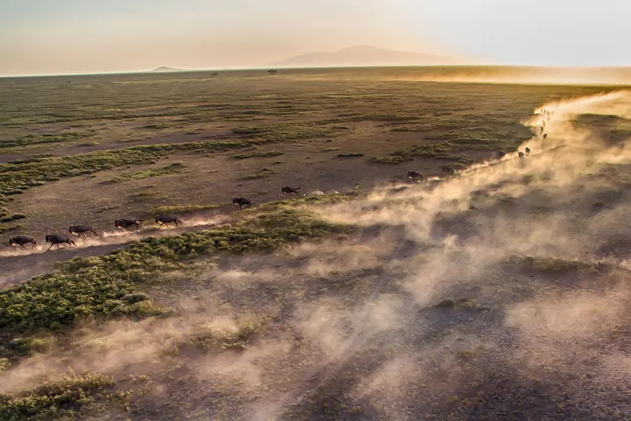 Booking Tanzania family holidays