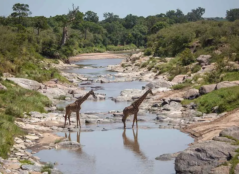 Aerial view of Naboisho Conservancy
