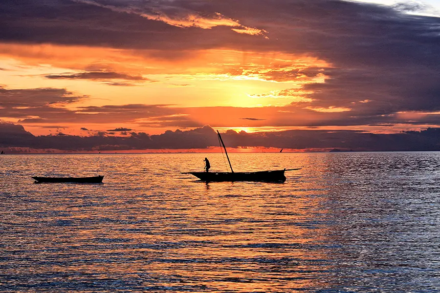 Custom luxury safari tours Tanzania