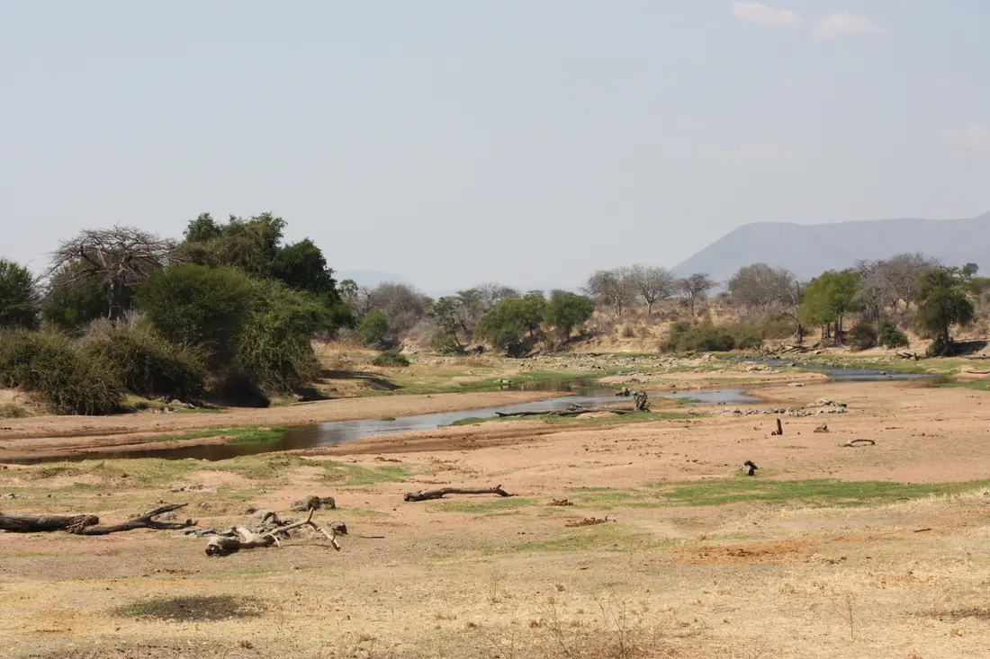 Touring Ruaha on Safari Holiday Tanzania