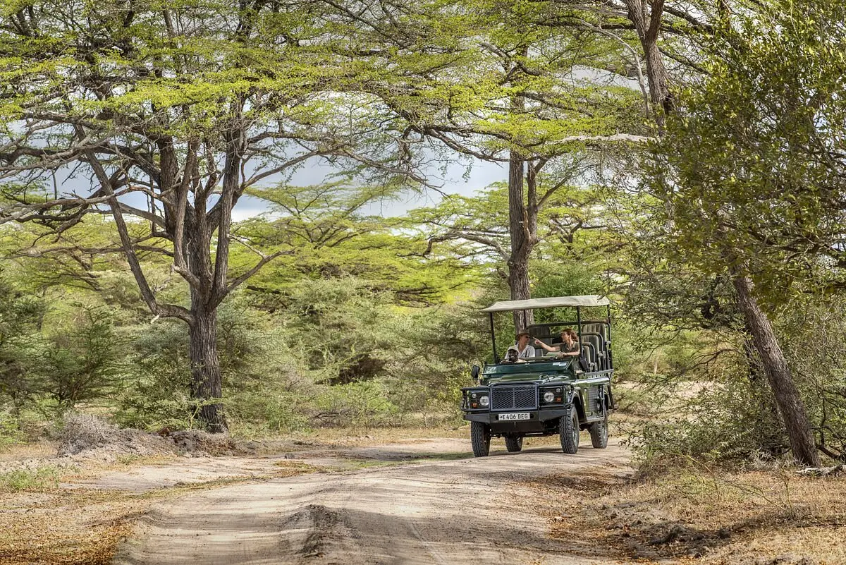 The wild Selous National Park