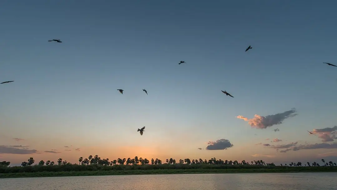 The best way to reach Selous National Park