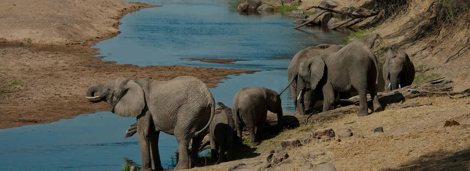 Exploring the Southern Tanzania safari circuit