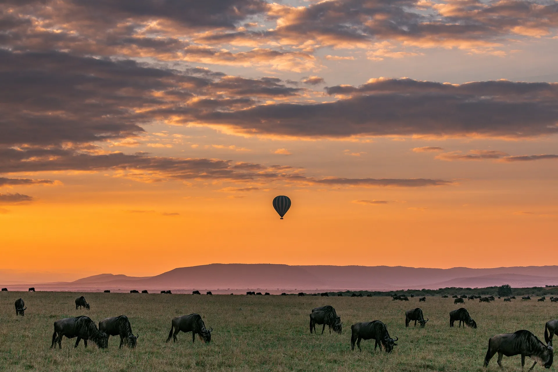 hot air safaris
