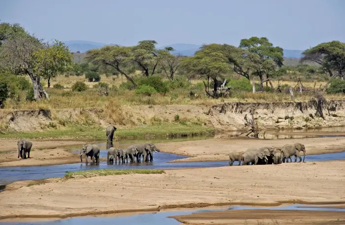 Tanzania luxury tours to Nyerere National Park