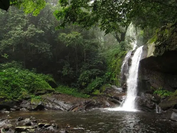 Udzungwa Mountains Safari Southern Tanzania