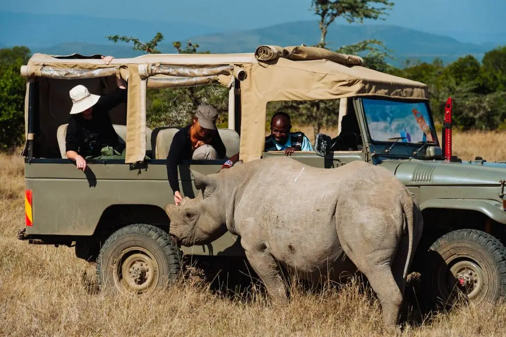 Guests enjoying outdoor activities in Nanyuki