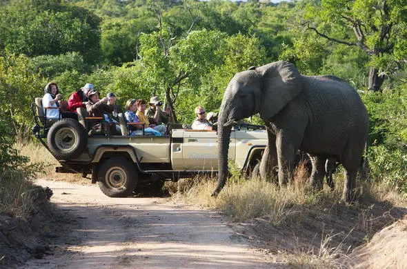 2024 Great migration safari in Masai Mara - Guests on safari