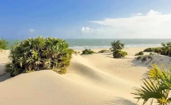 Lamu Island on Kenya Coastline - Lamu Beach