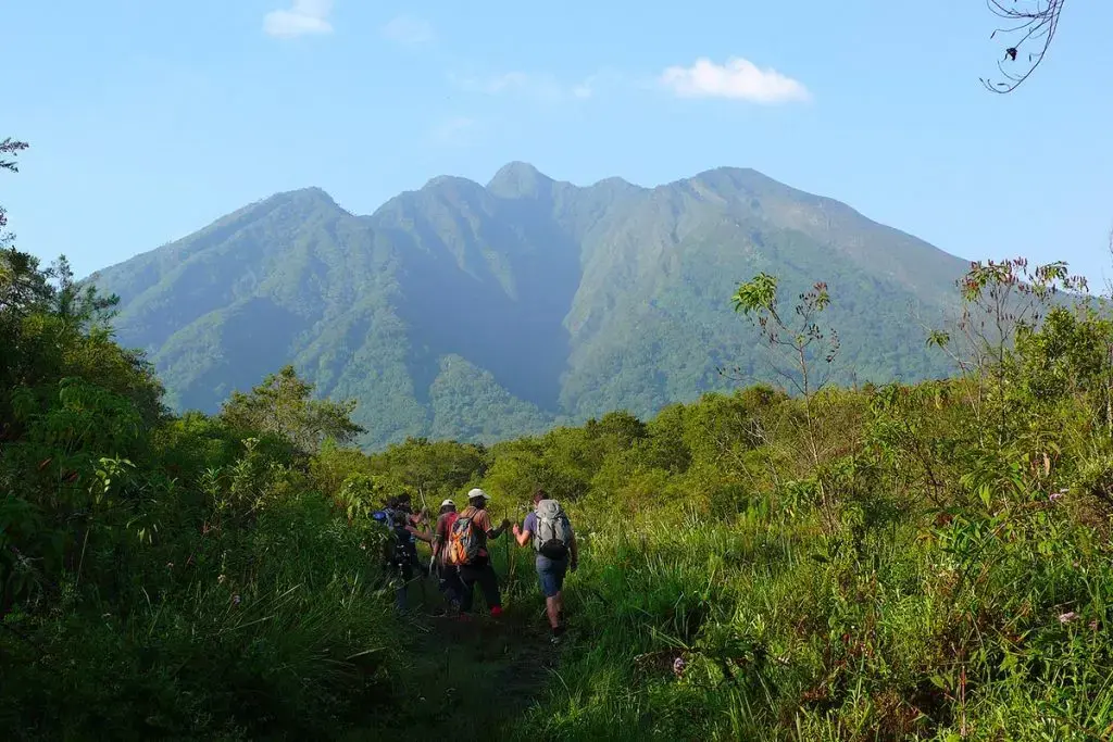 Gorilla tracking in Uganda - Trekkers in Mgahinga National Park